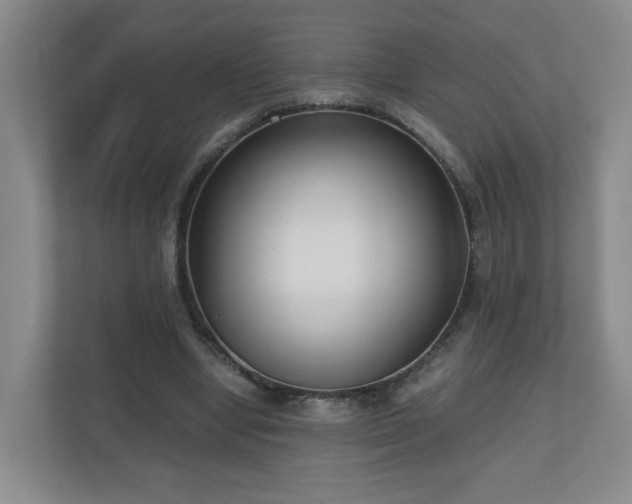 X0000110950442200906191254