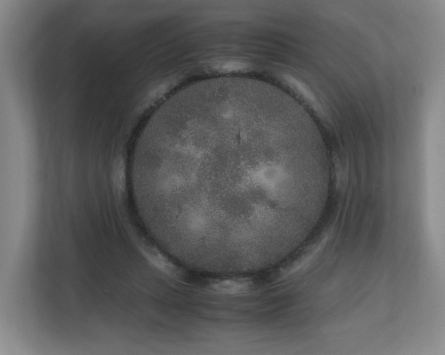 X0000110950447200906191254