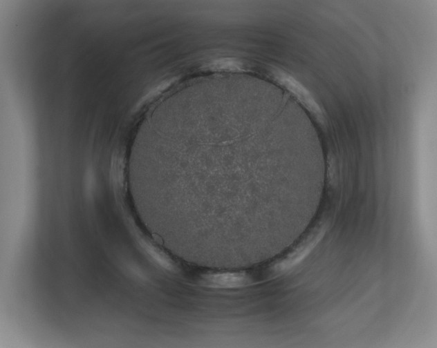 X0000110950449200906191254