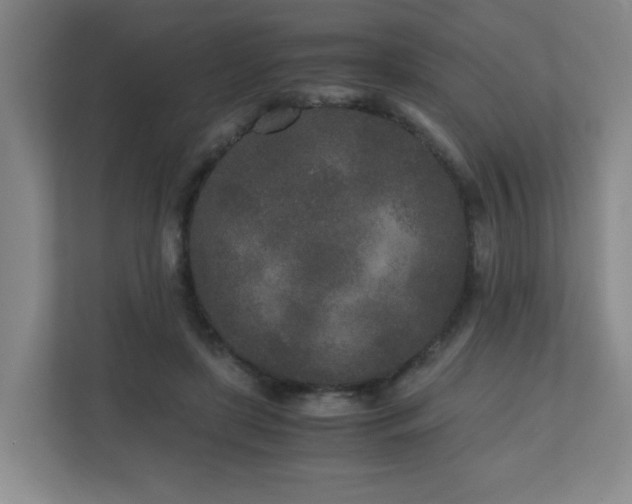 X0000110950451200906191254