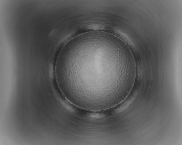 X0000110950453200906191254