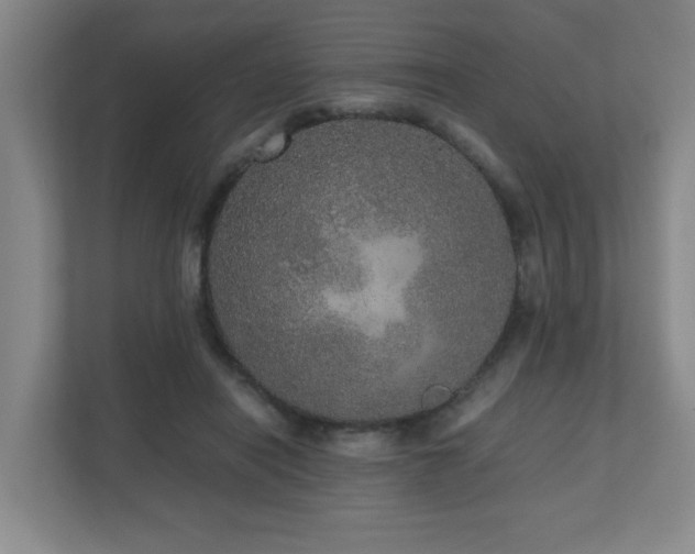 X0000110950454200906191254