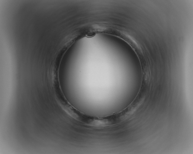 X0000110950455200906191254