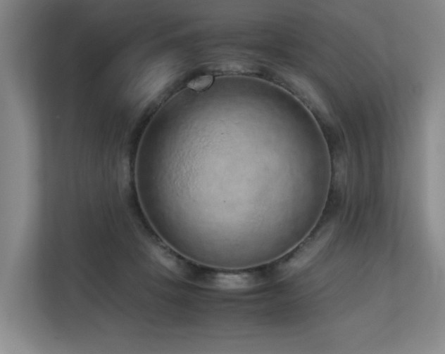X0000110950457200906191254