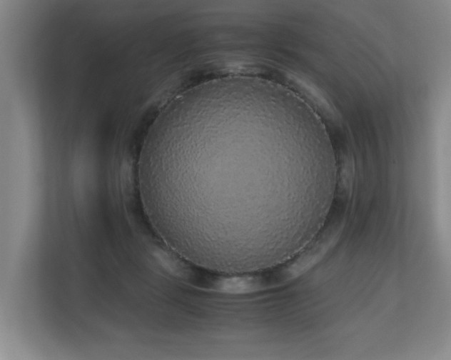 X0000110950461200906191254