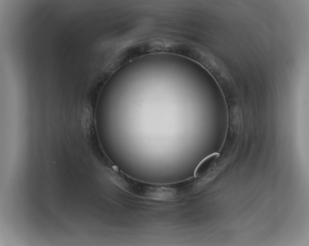 X0000110950463200906191254