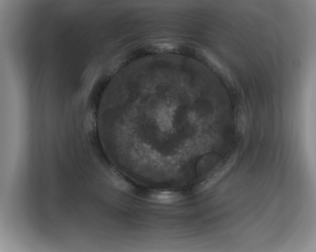 X0000110950467200906191254