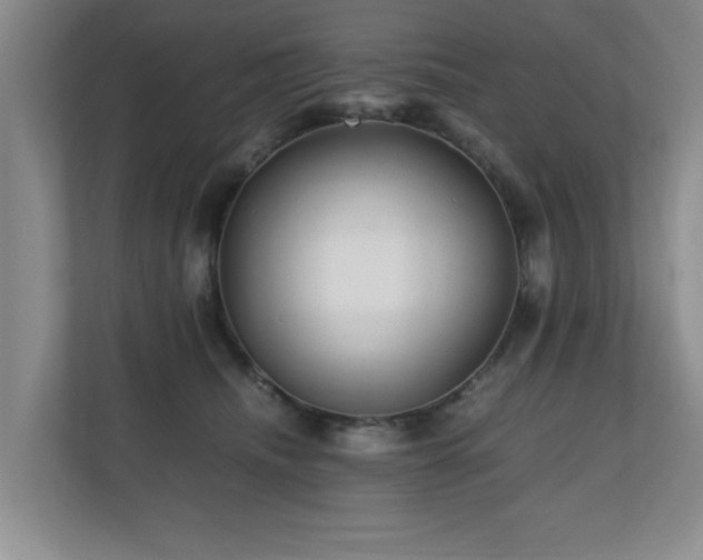 X0000110950468200906191254