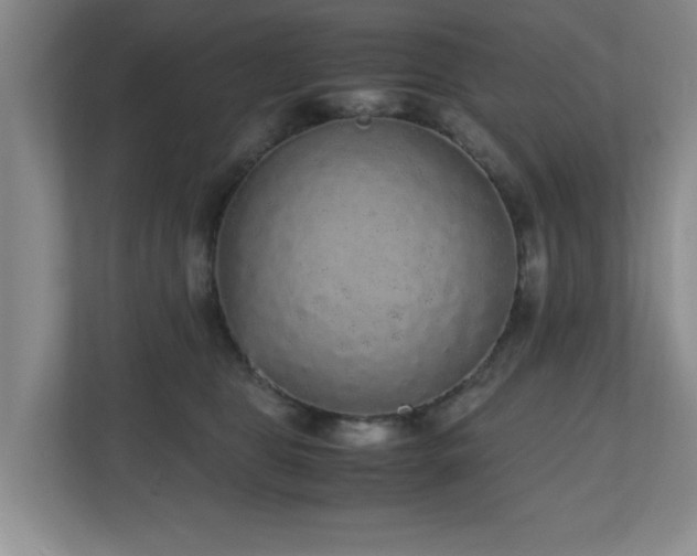 X0000110950469200906191254