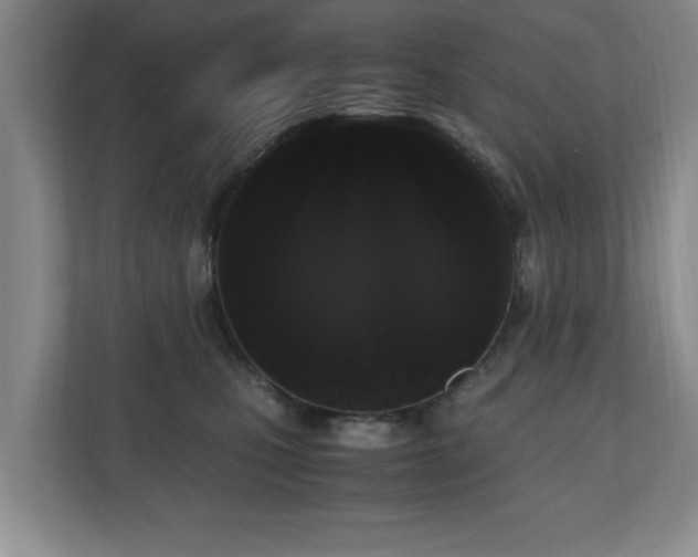 X0000110950471200906191254