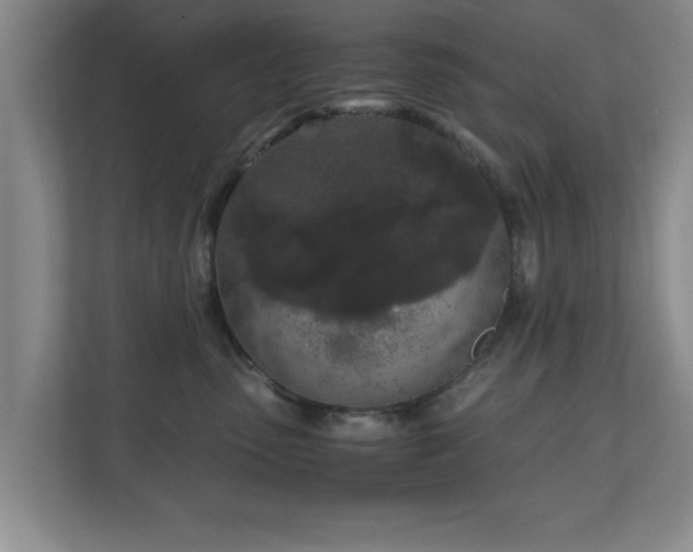 X0000110950475200906191254