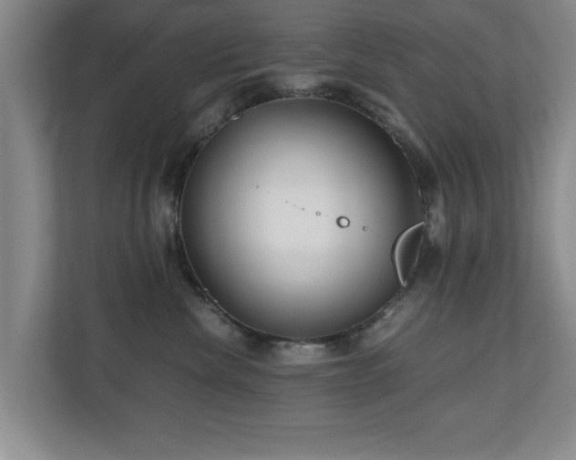 X0000110950476200906191254