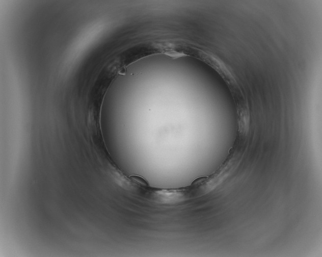 X0000110950477200906191254