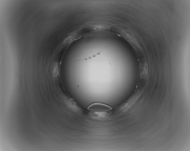 X0000110950478200906191254