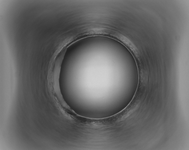 X0000110950481200906191254