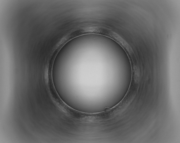 X0000110950482200906191254