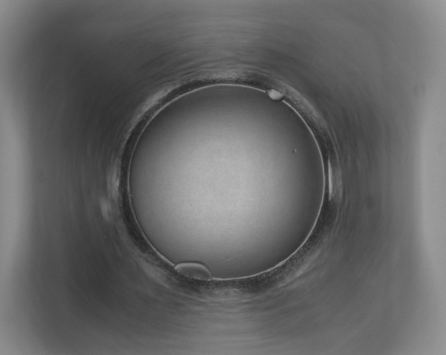 X0000110950483200906191253