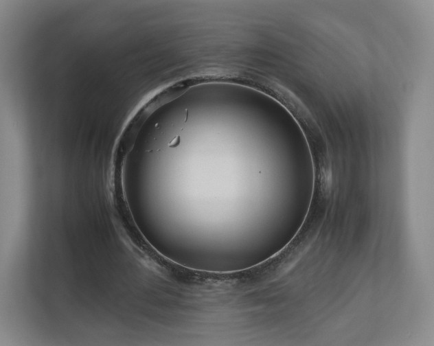 X0000110950484200906191253