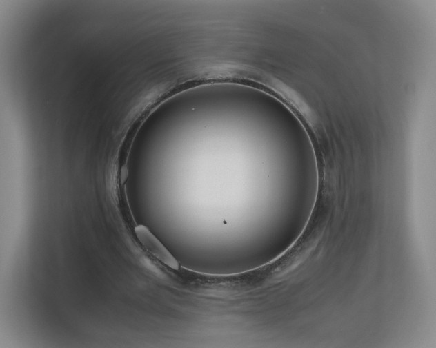 X0000110950485200906191253