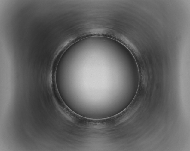 X0000110950486200906191253