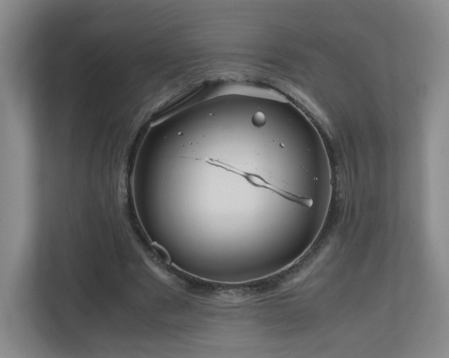 X0000110950489200906191253