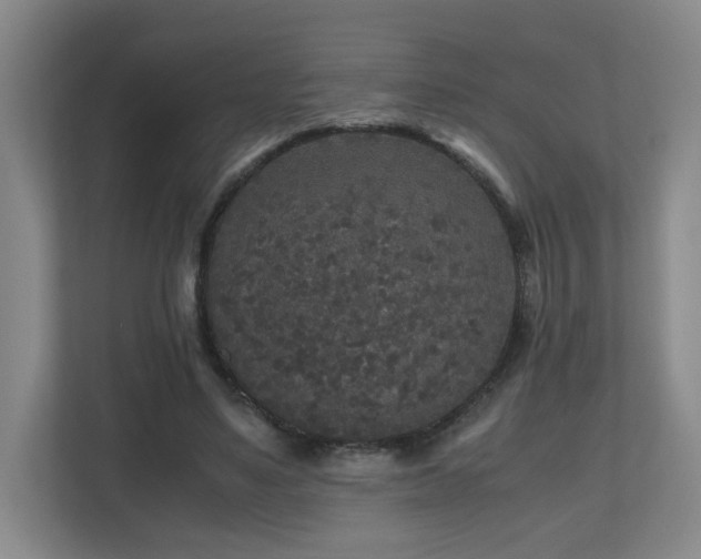 X0000110950491200906191253