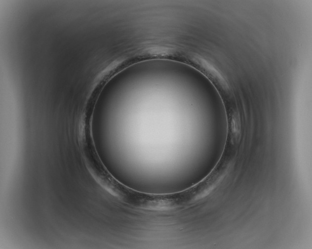 X0000110950492200906191253