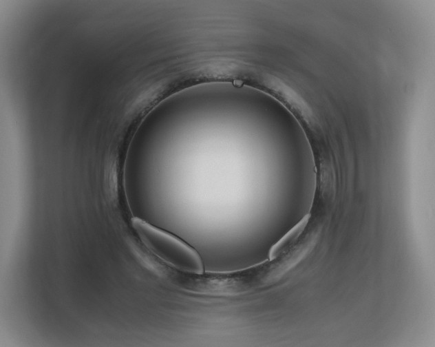 X0000110950493200906191253