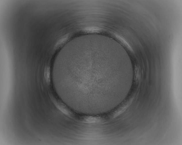 X0000110950494200906191253