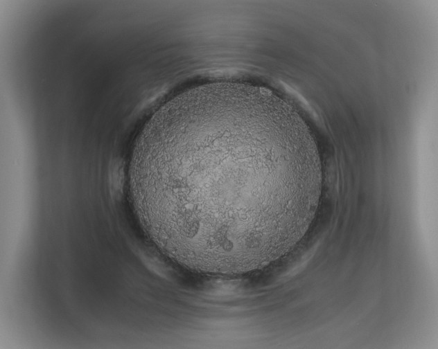 X0000110950495200906191253