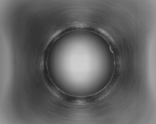 X0000110950496200906191253