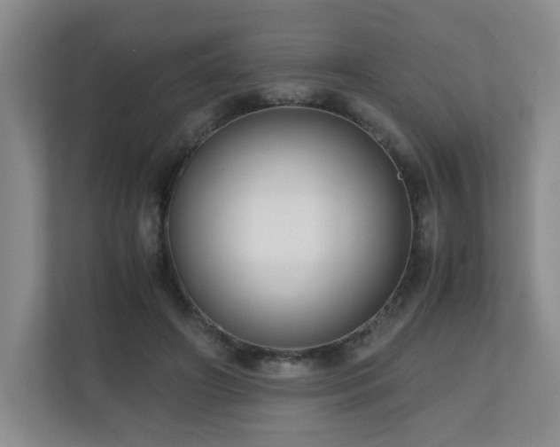 X0000110950498200906191253