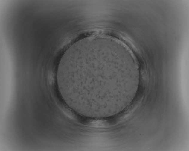 X0000110950499200906191253