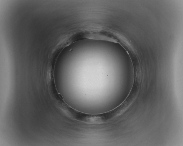 X0000110950501200906191253