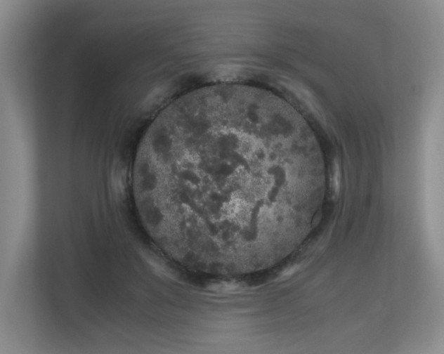 X0000110950503200906191253