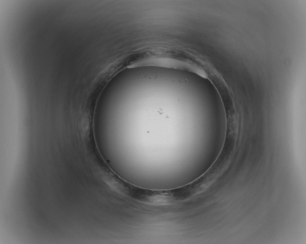 X0000110950505200906191253