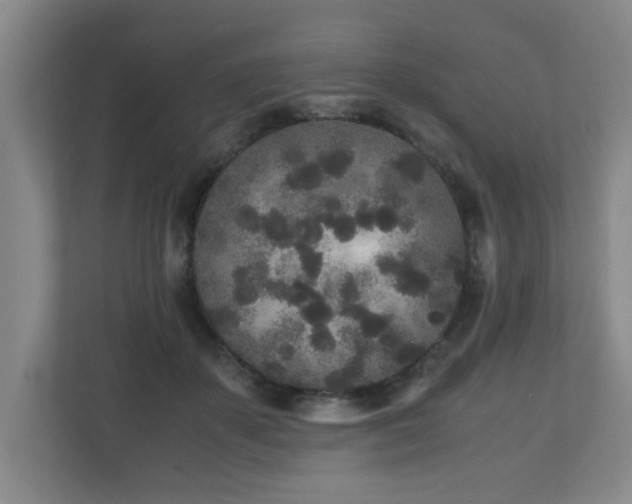 X0000110950507200906191253