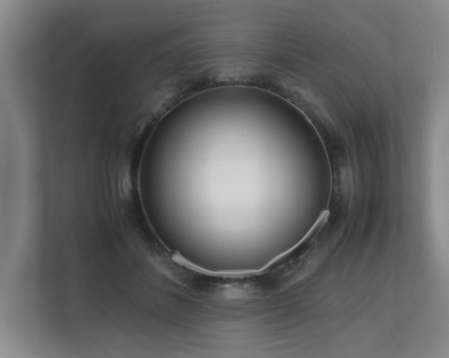 X0000110950508200906191253