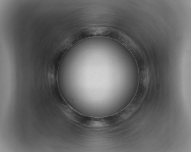 X0000110950510200906191253