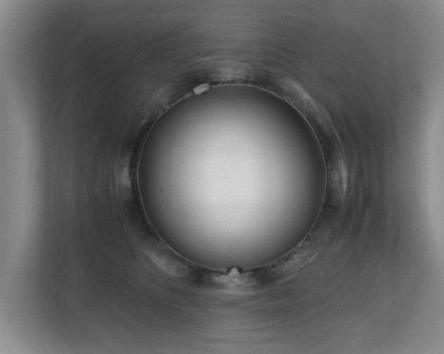 X0000110950516200906191253