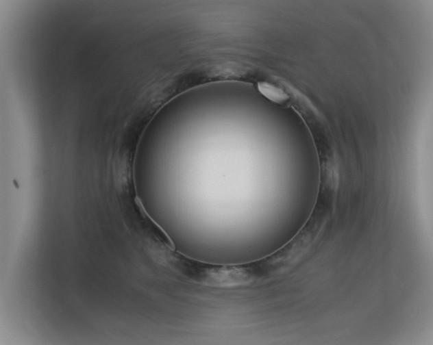 X0000110950517200906191253