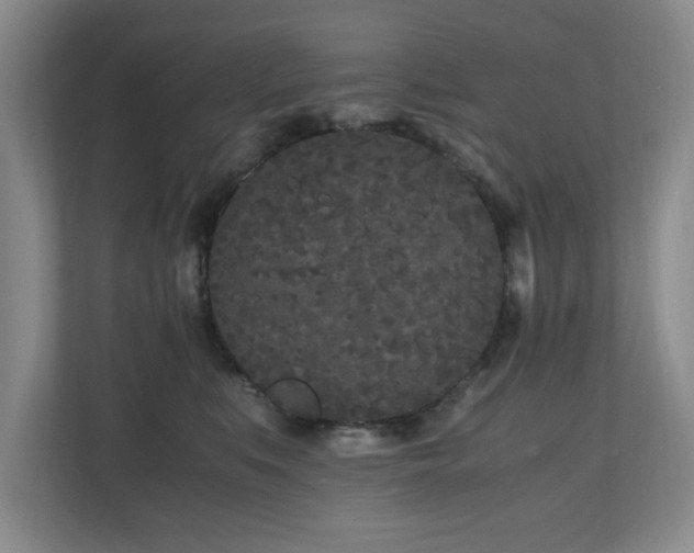 X0000110950519200906191253