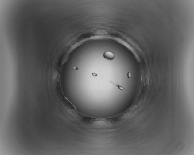 X0000110950521200906191253