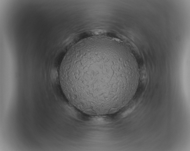 X0000110950523200906191253