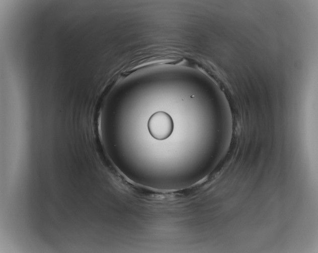 X0000110950524200906191253