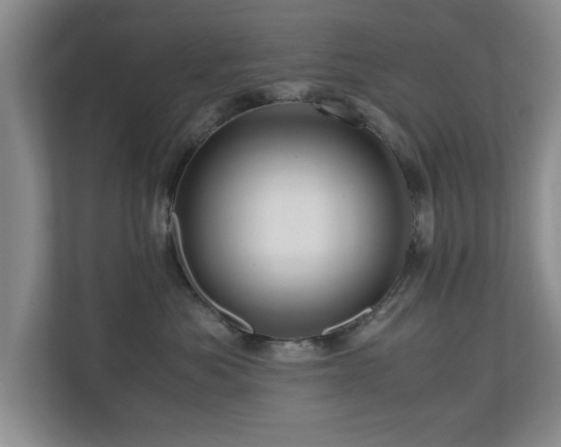 X0000110950525200906191253