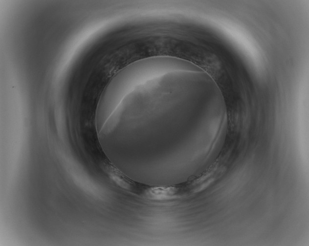 X0000110950526200906191253