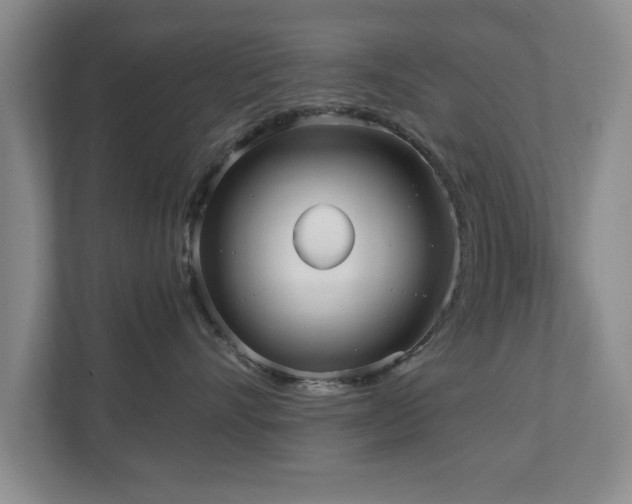 X0000110950528200906191253