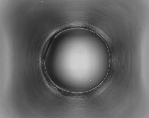 X0000110950530200906191252