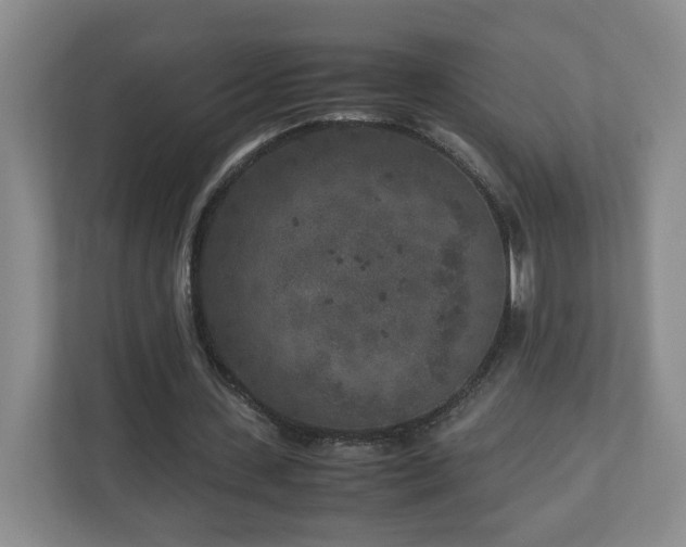 X0000110950531200906191252